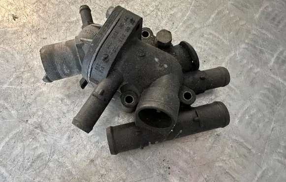 Thermostat/thermostat housing