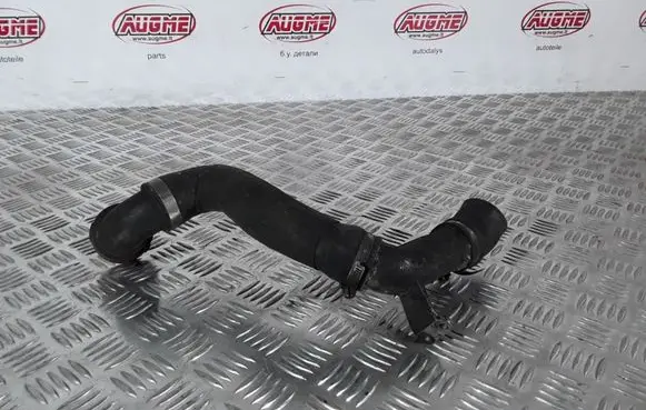 Mercedes-Benz S W220 Engine coolant pipe/hose A6132030015