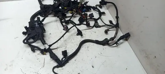 BMW X2 F39 Engine installation wiring loom 858155106