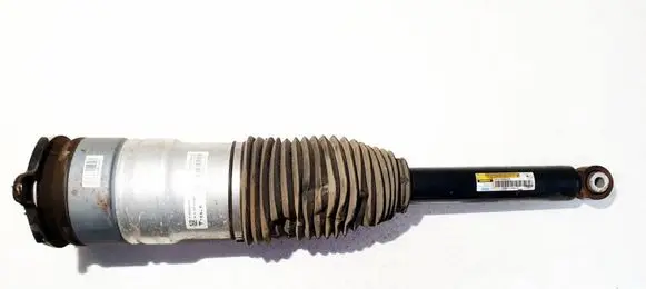 Tesla Model S Rear shock absorber/damper 600635206C