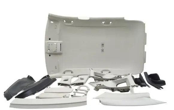 Volkswagen Tiguan Headlining set 5N0867501DL 5N0971100R 5N0867766