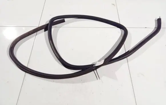 Ford Focus Rubber seal rear door 