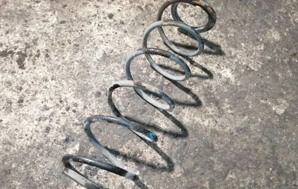 Rear coil spring