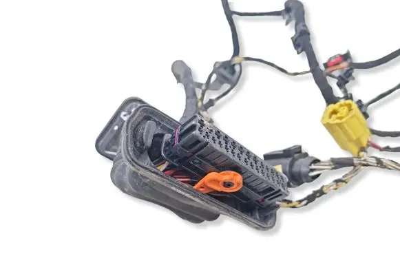 Volkswagen PASSAT B6 Front door wiring loom 
