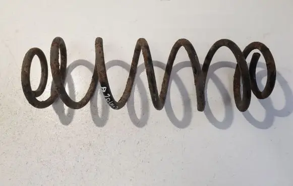Rear coil spring
