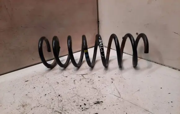 Ford Focus C-MAX Rear coil spring