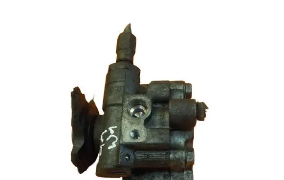 Chrysler Voyager Power steering pump 