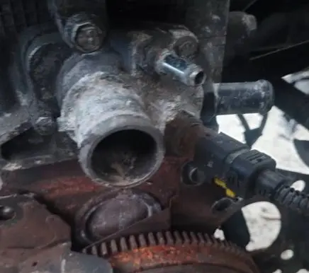 Fiat Punto (188) Engine coolant pipe/hose