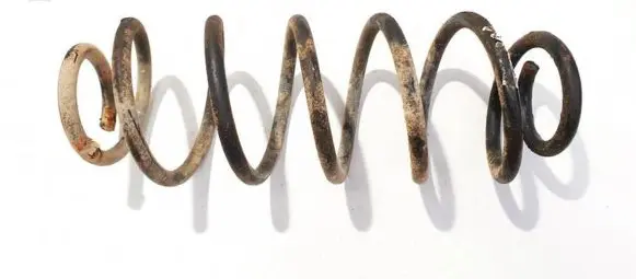Ford Fusion Rear coil spring