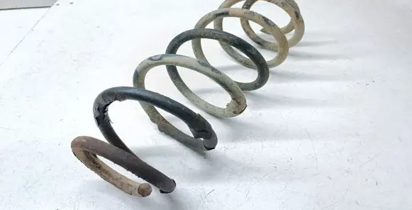 Rear coil spring