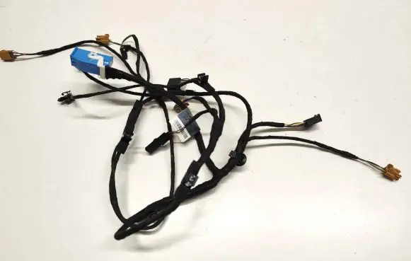 Front door wiring loom