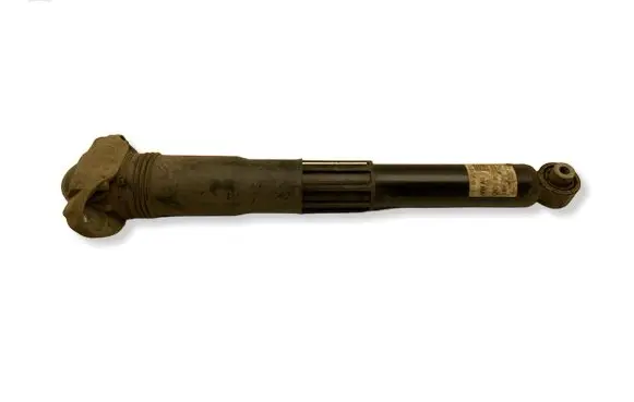 Volkswagen ID.4 Rear shock absorber/damper 1EA512013BD