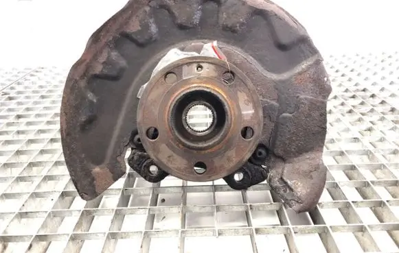 Skoda Rapid (NH) Front wheel hub spindle knuckle