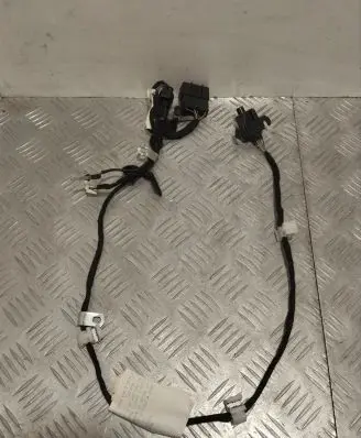 Maserati GranTurismo Front door wiring loom 231438