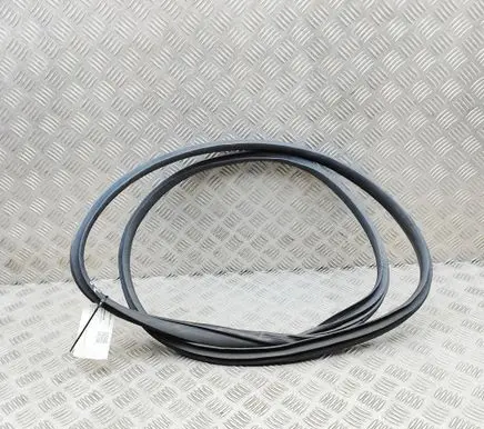 BYD Dolphin Rubber seal rear door 1313622500 EM2E5407113