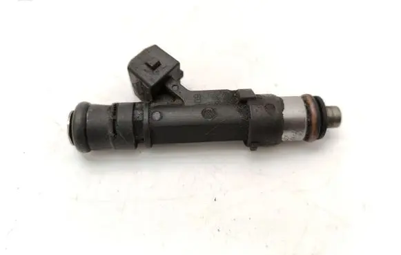 Chevrolet Captiva Fuel injector 0280158099