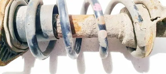 Rear coil spring