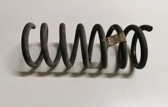 Ford Fusion II Rear coil spring DG9C5560