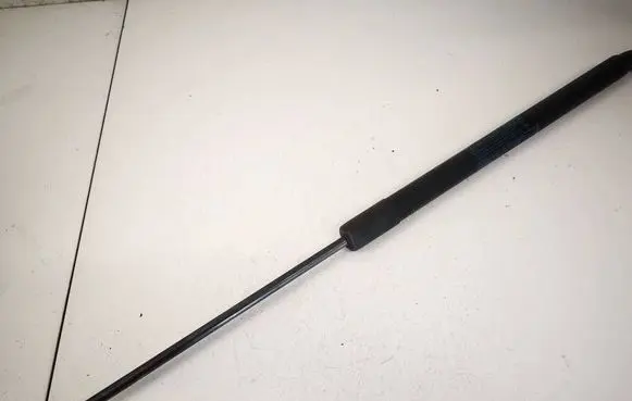 Tailgate/trunk strut/damper