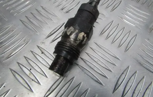 Fiat Ducato Fuel injector KCA17S42