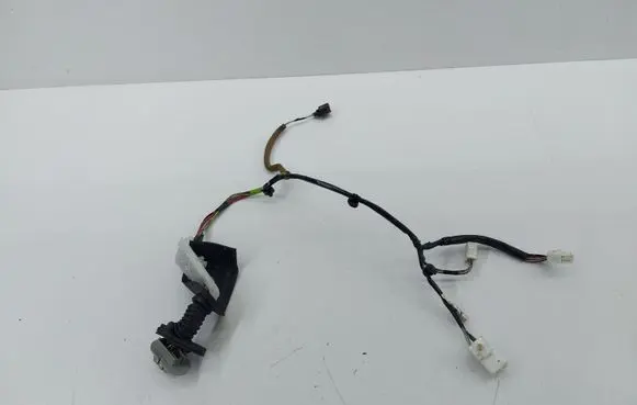 Rear door wiring loom