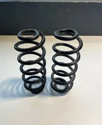 Rear coil spring