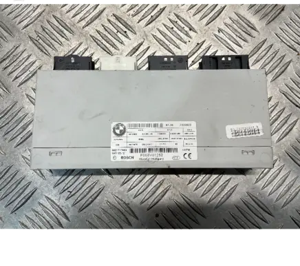 BMW 5 F10 F11 Tailgate/trunk control unit/module 7333928 876888A