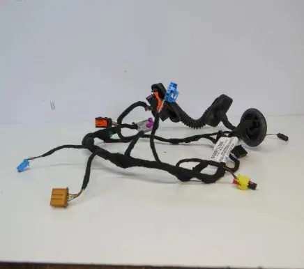 Front door wiring loom