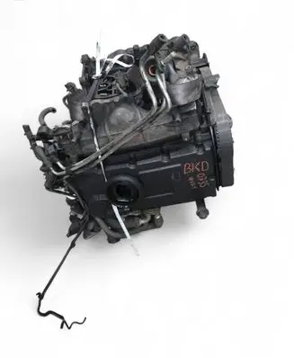 Skoda Octavia Mk2 (1Z) Engine BKD