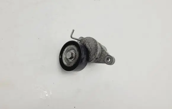 Citroen Berlingo Timing belt tensioner 