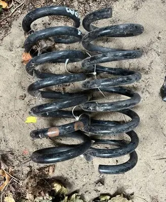 Rear coil spring