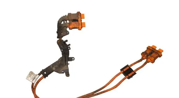 Cupra Born Other wiring loom 1EA971015T