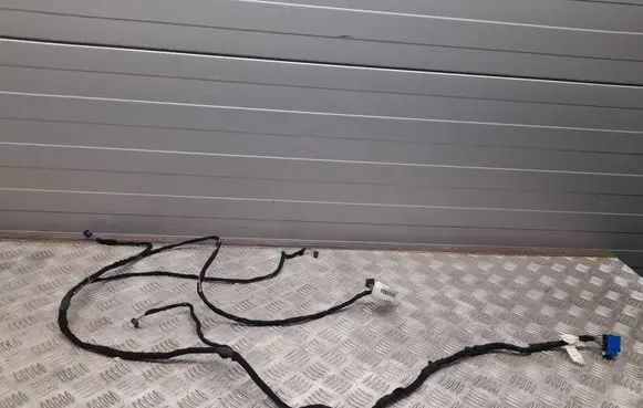 Alfa Romeo Stelvio Other wiring loom 00505518300