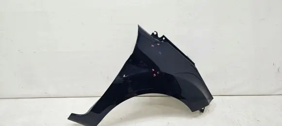 Ford Fiesta Fender