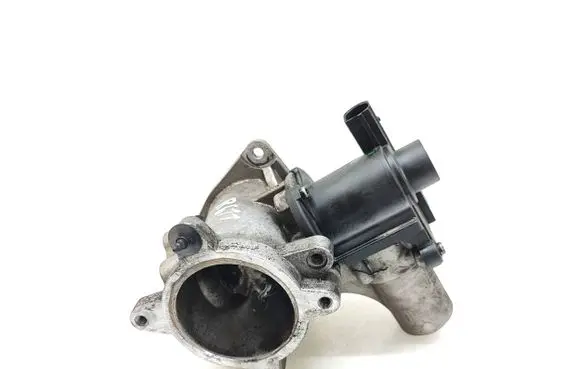 Volkswagen Transporter - Caravelle T5 EGR valve 076131501B 70082304