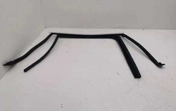 Volkswagen T-Roc Rubber seal rear door window/glass 