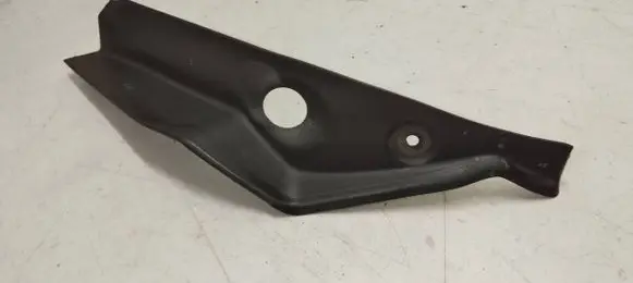 Rear/tail light trim molding