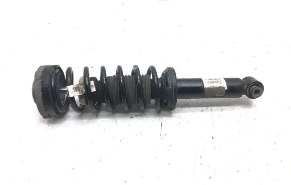 BMW X3 F25 Rear shock absorber with coil spring 6796317