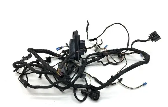 BMW 5 F10 F11 Front door wiring loom 61139169241 916924103