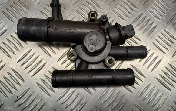 Thermostat/thermostat housing