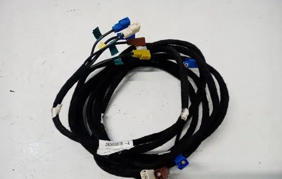 Renault Arkana Other wiring loom 282433917R