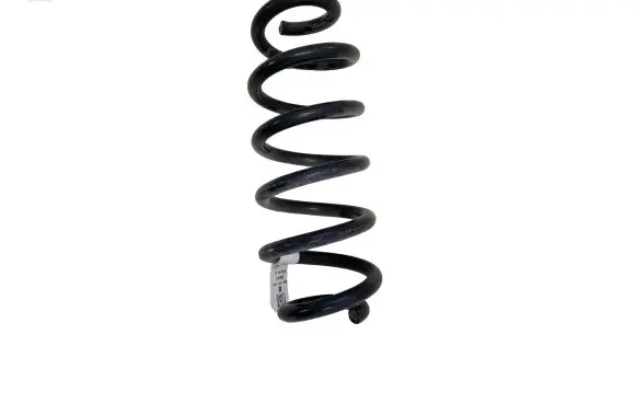 Ford Escape IV Rear coil spring LX615560 LX615560NND E29EJ