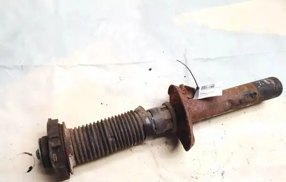 Volkswagen Jetta V Front shock absorber/damper 312615 824904004339