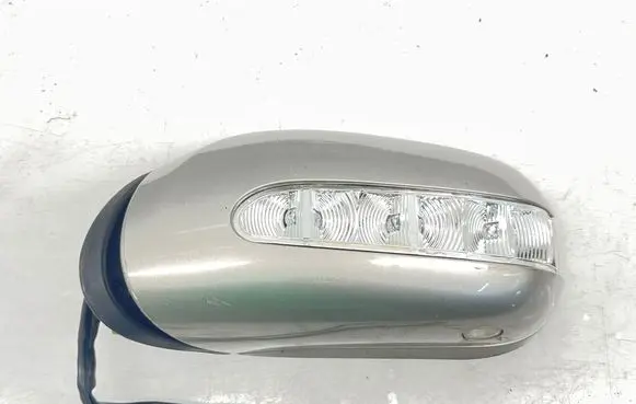 Mercedes-Benz S W220 Front door electric wing mirror 254079