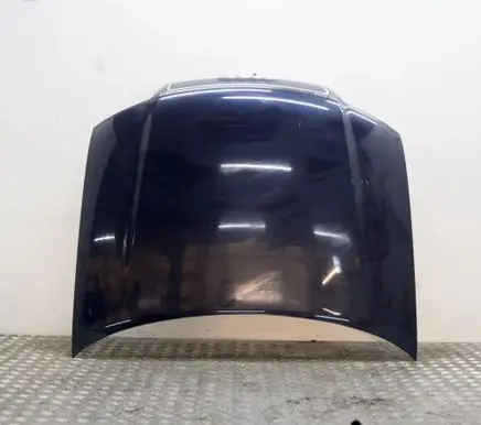 Audi A4 S4 B6 8E 8H Engine bonnet/hood 8E0823029