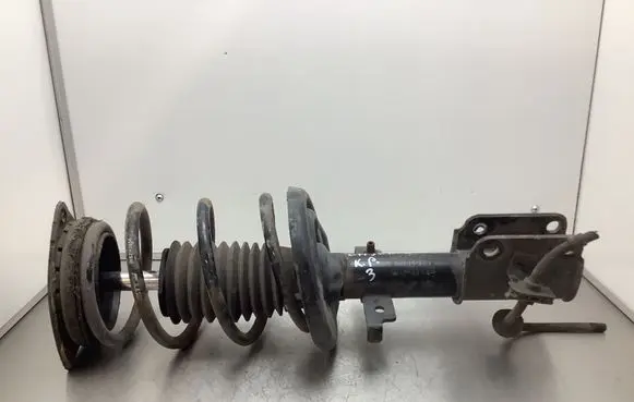 Renault Laguna III Front shock absorber with coil spring