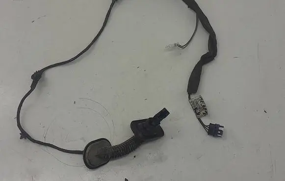 Renault Megane II Rear door wiring loom 8200277933