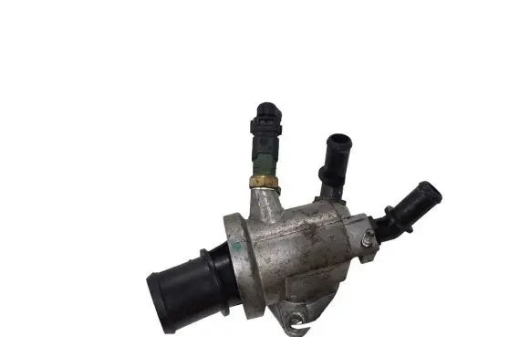 Thermostat/thermostat housing