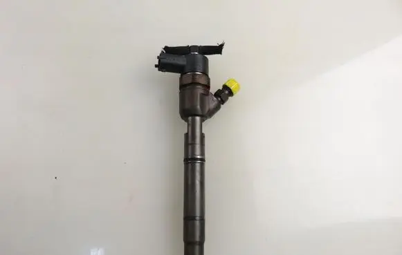 KIA Rio Fuel injector 338002A400 0445110256