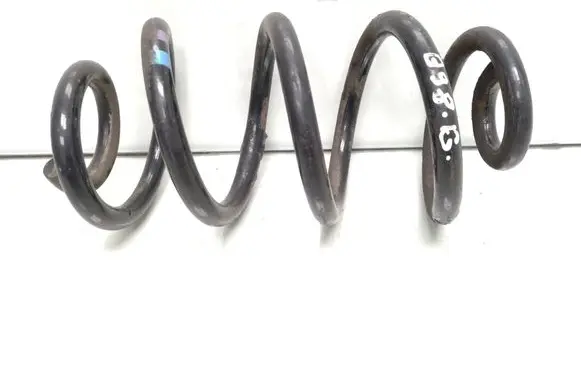 Rear coil spring